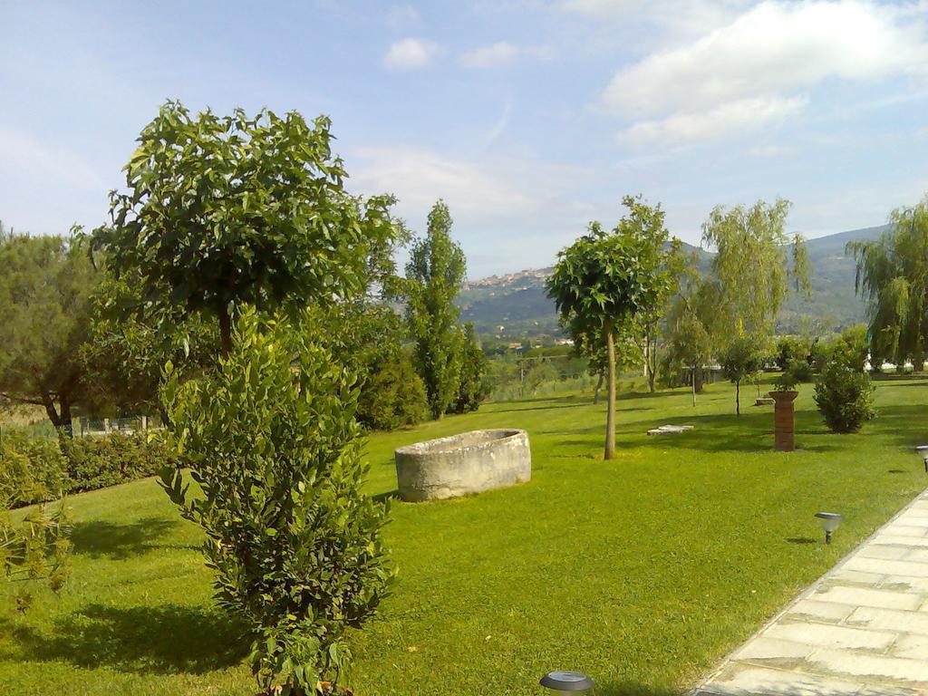 Agriturismo Podere Ossaia Кортона Стая снимка